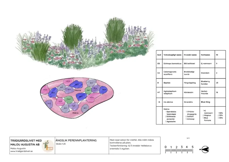 &Auml;ngslik perenn-plantering