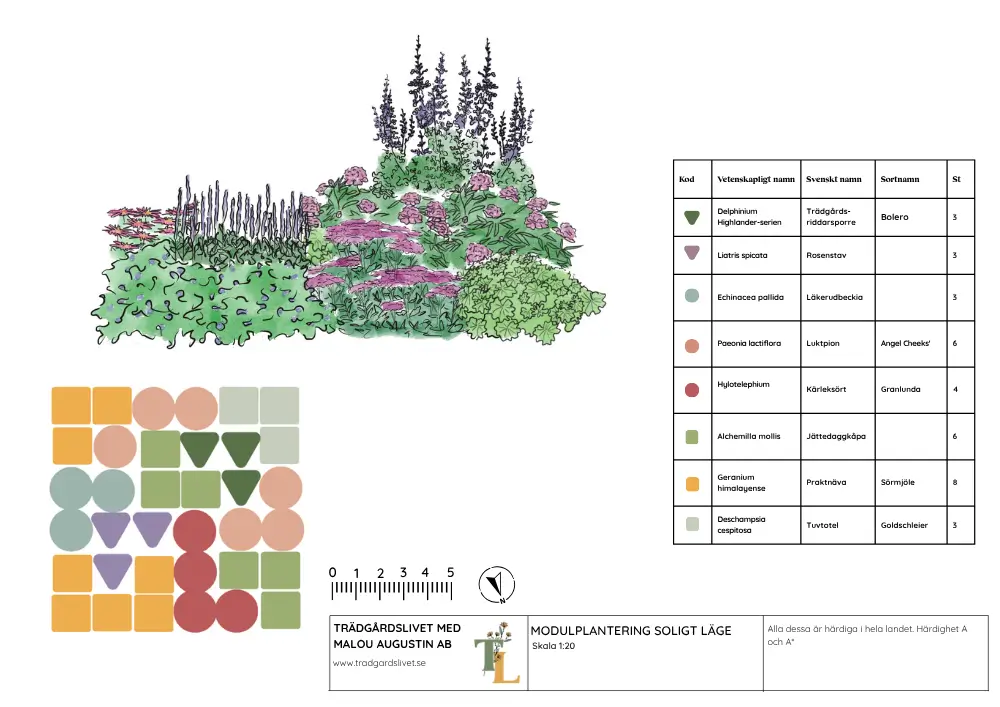 Mall för plantering i soligt läge