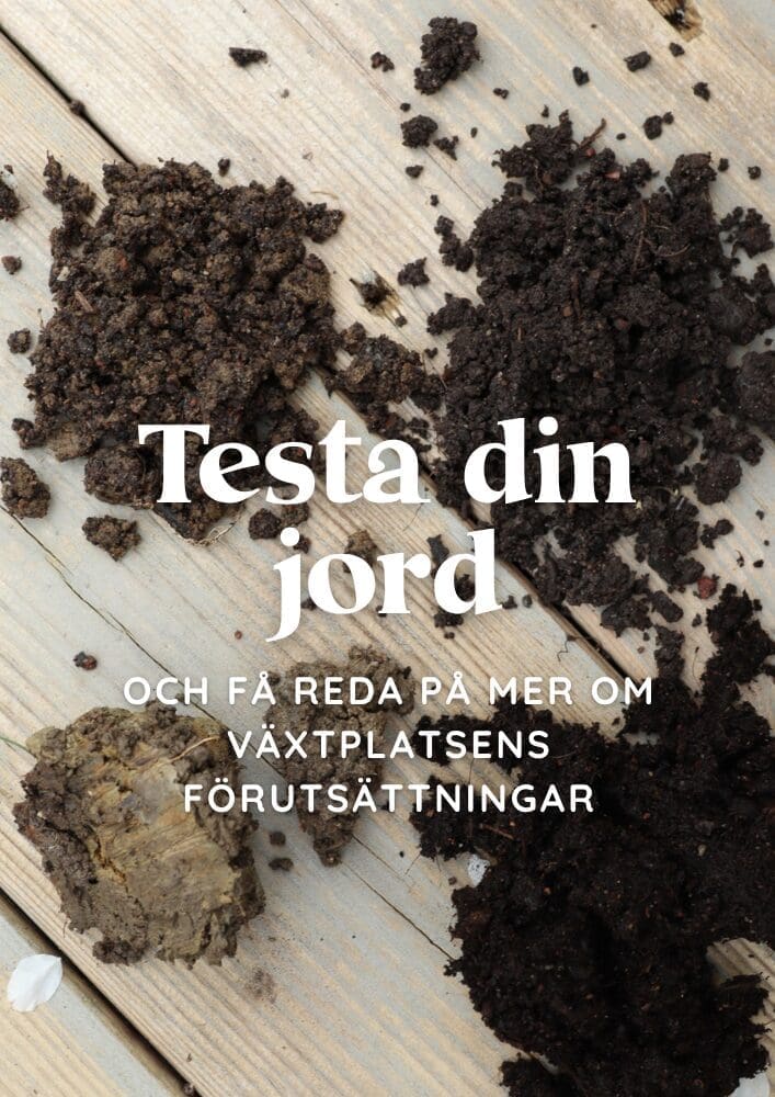 Jordprov i trädgården